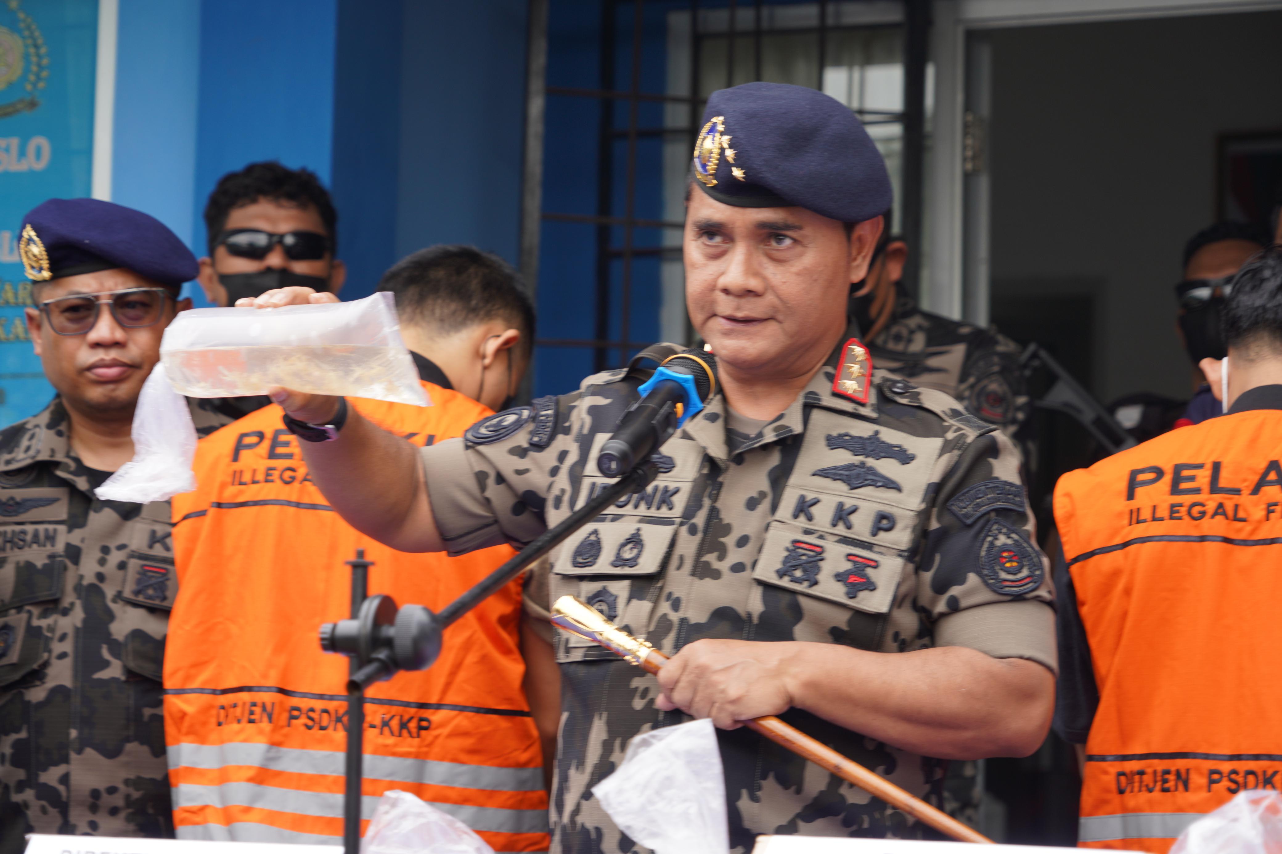 Penggagalan Penyelundupan Benih Bening Lobster (BBL) oleh Direktorat Jenderal PSDKP