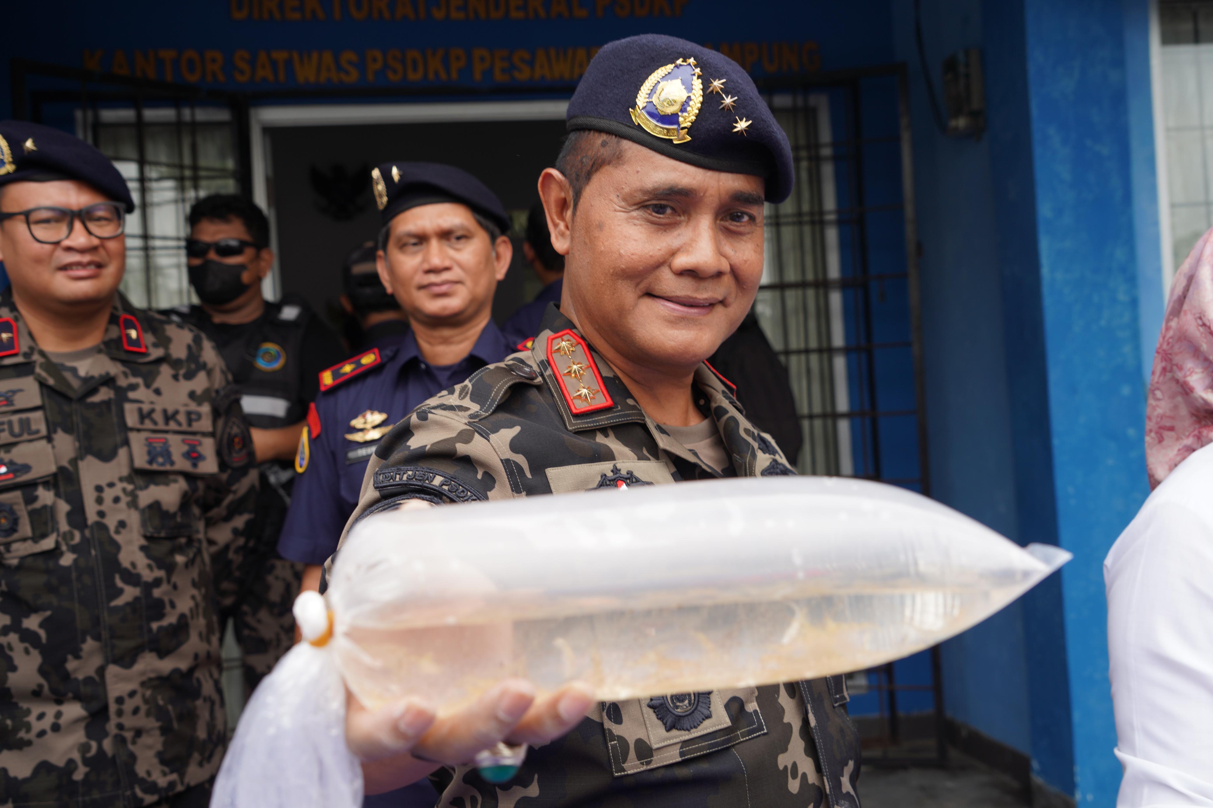 Penggagalan Penyelundupan Benih Bening Lobster (BBL) oleh Direktorat Jenderal PSDKP