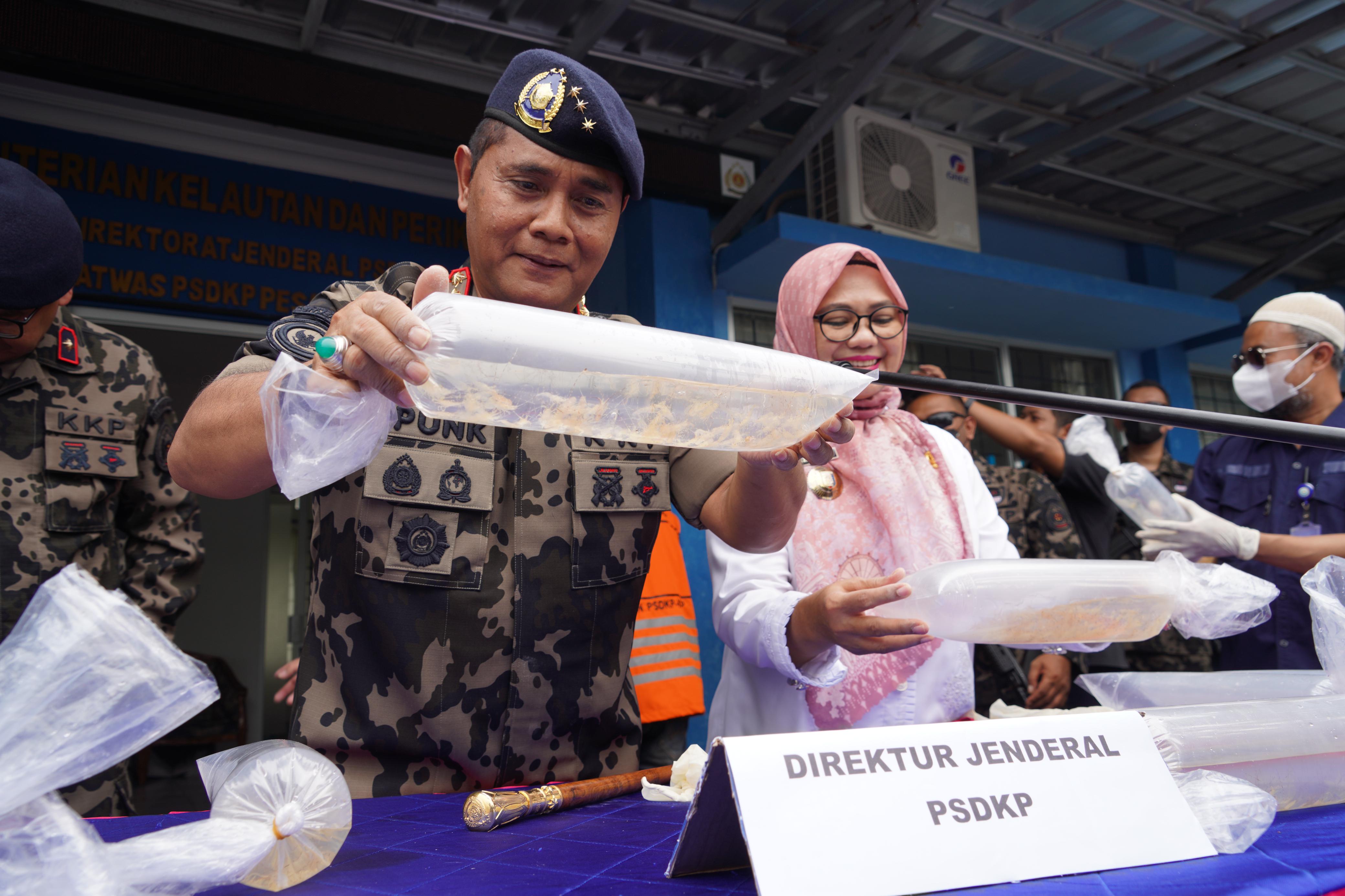 Penggagalan Penyelundupan Benih Bening Lobster (BBL) oleh Direktorat Jenderal PSDKP