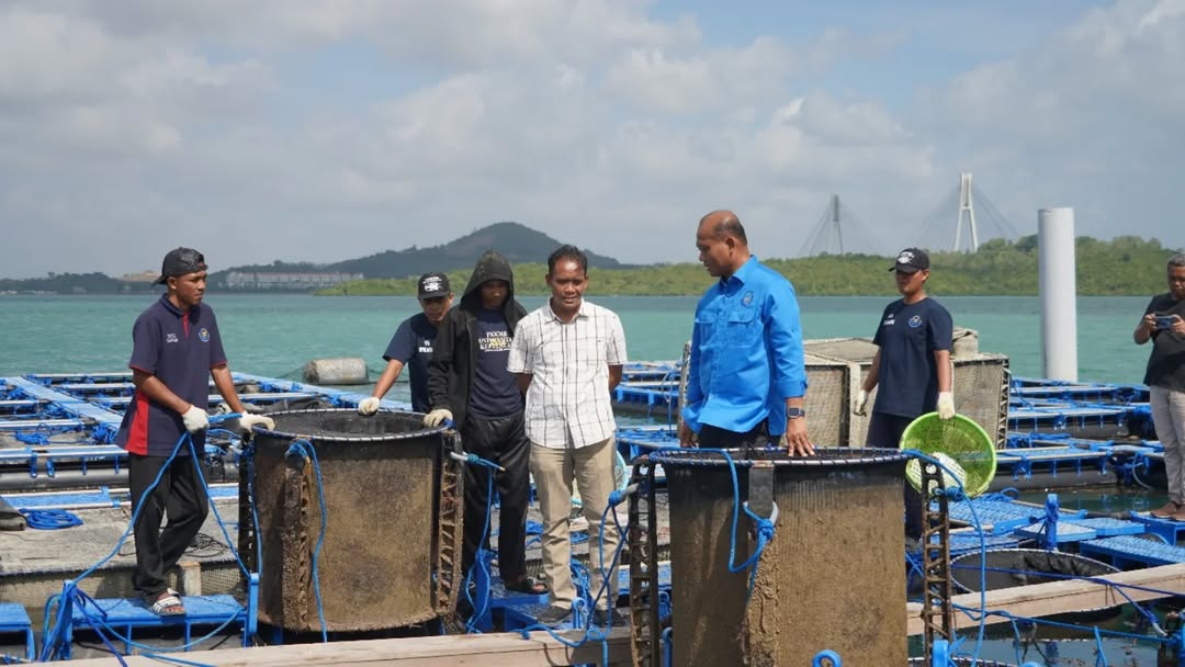 Peninjauan modeling budi daya lobster di Balai Perikanan Budidaya Laut (BPBL) Batam