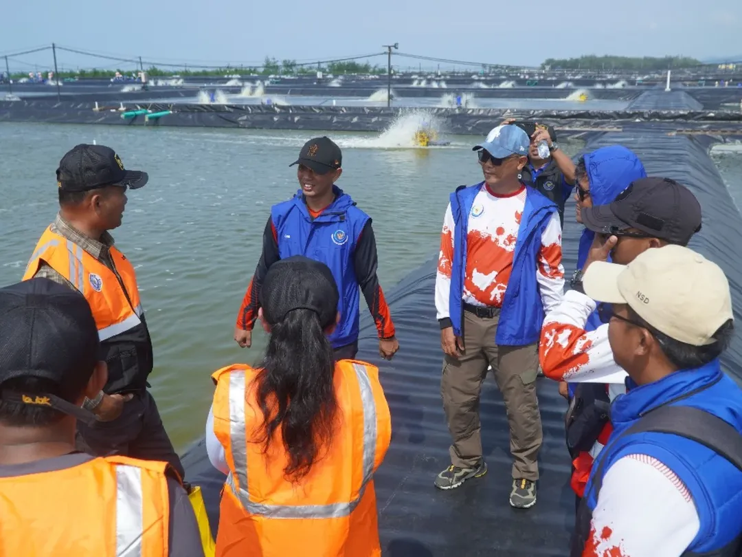 Peninjauan Tambak Budidaya Udang Berbasis Kawasan (BUBK) di Kebumen Jawa Tengah