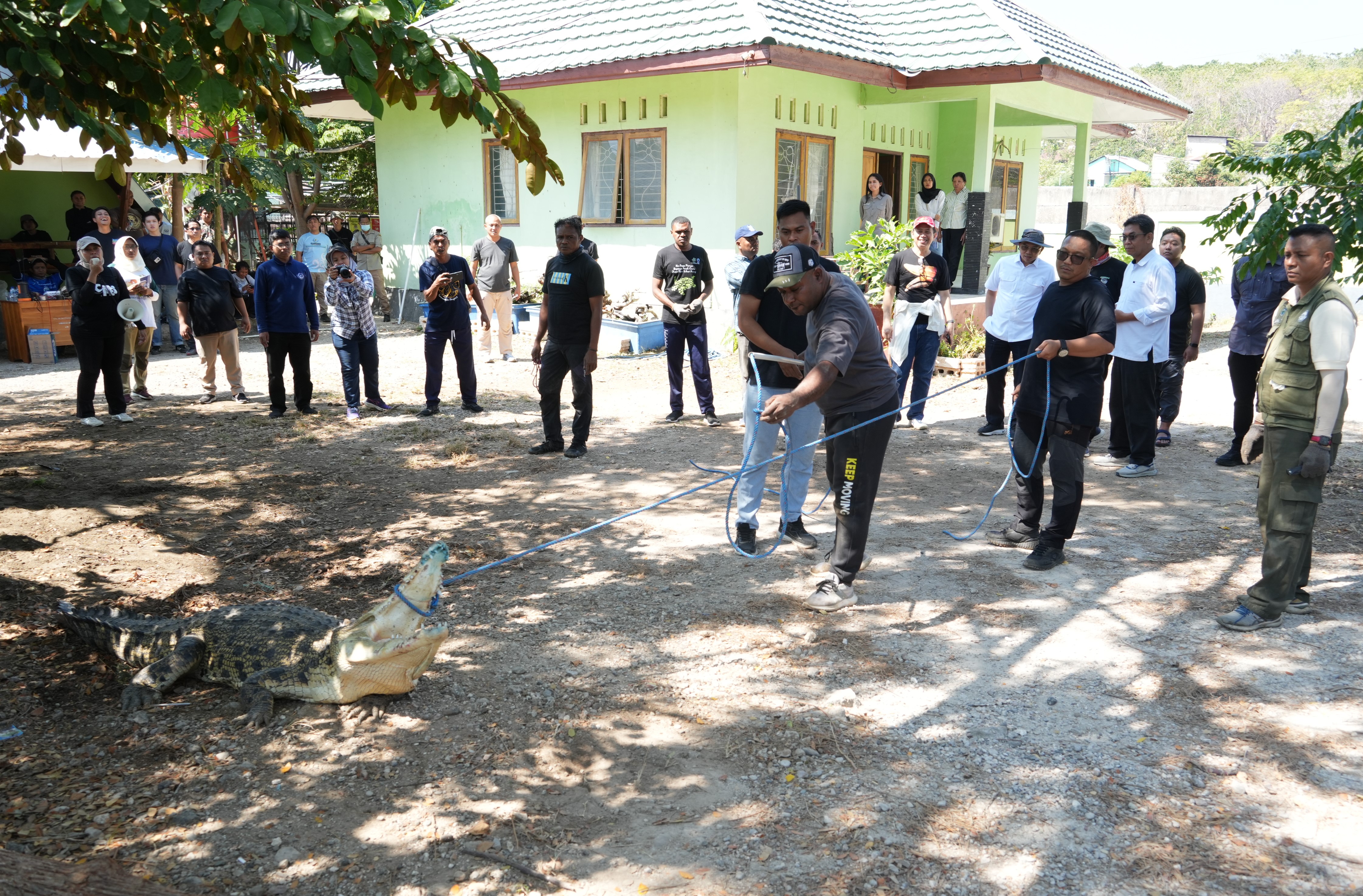 Bimtek Respon Cepat Penanganan Konflik Buaya dan Biota Perairan Terdampar, Kupang (22/7).