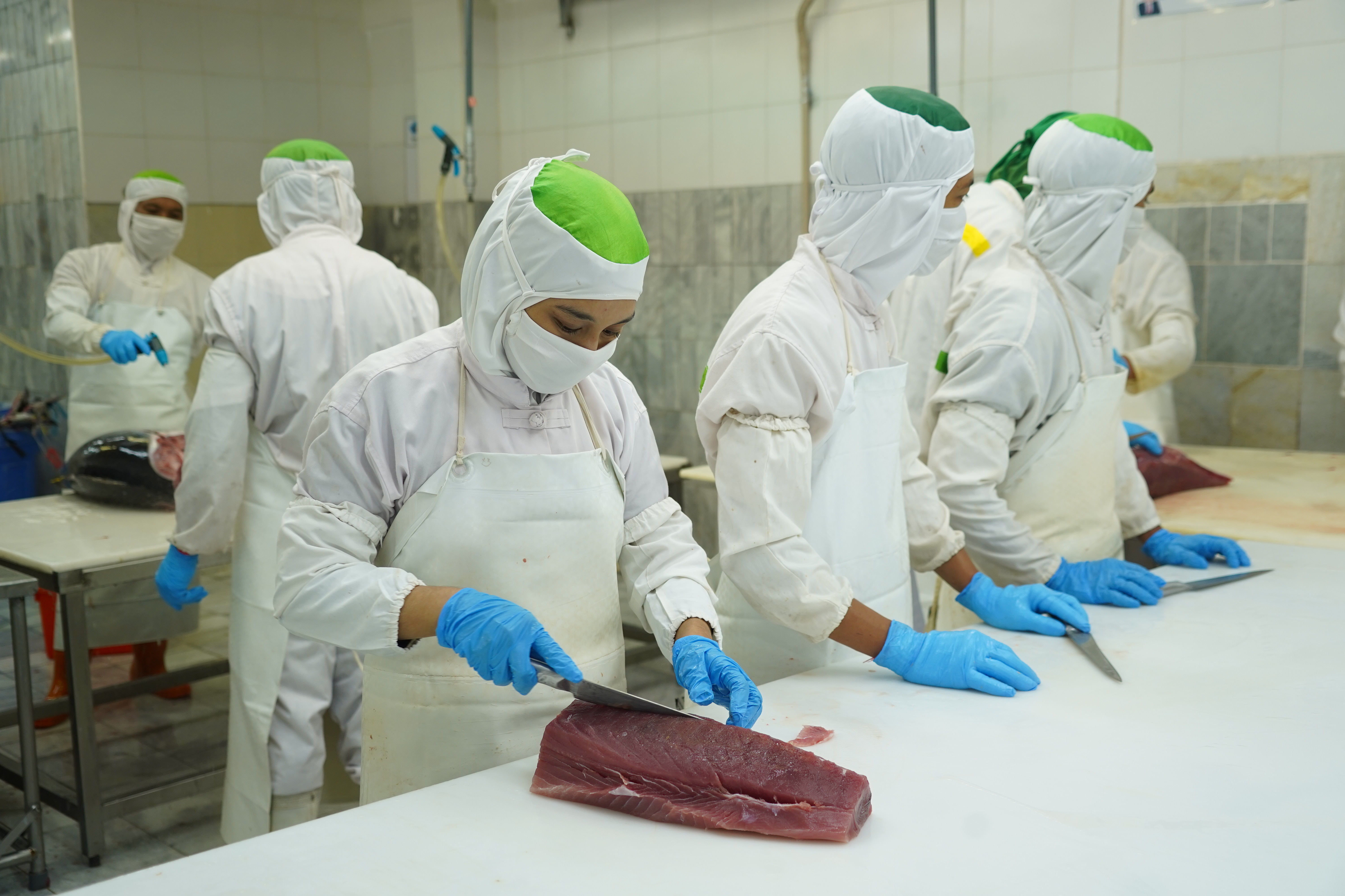 Kunjungan Dirjen PDSPKP ke UPI Tuna PT Hatindo Makmur