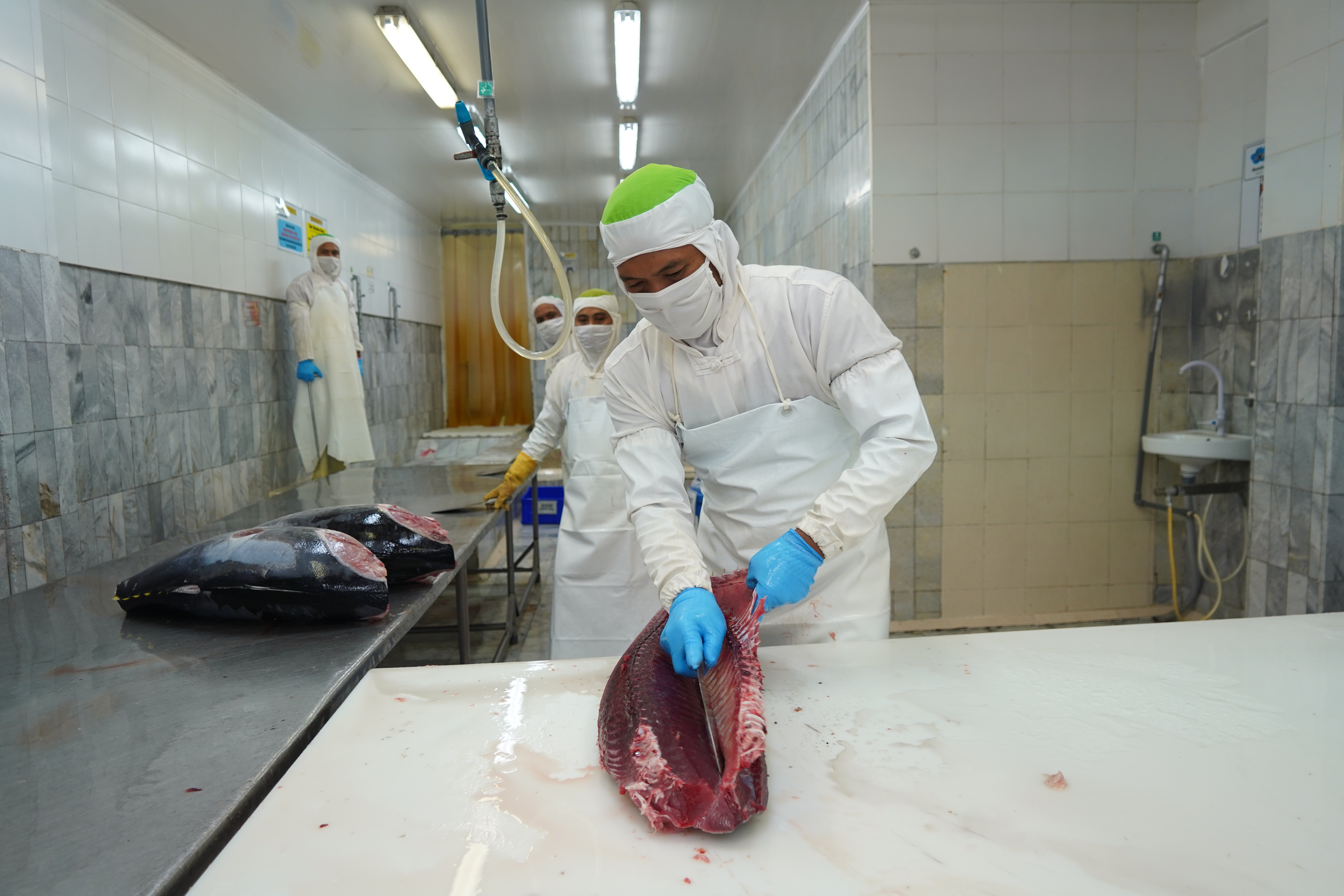 Kunjungan Dirjen PDSPKP ke UPI Tuna PT Hatindo Makmur