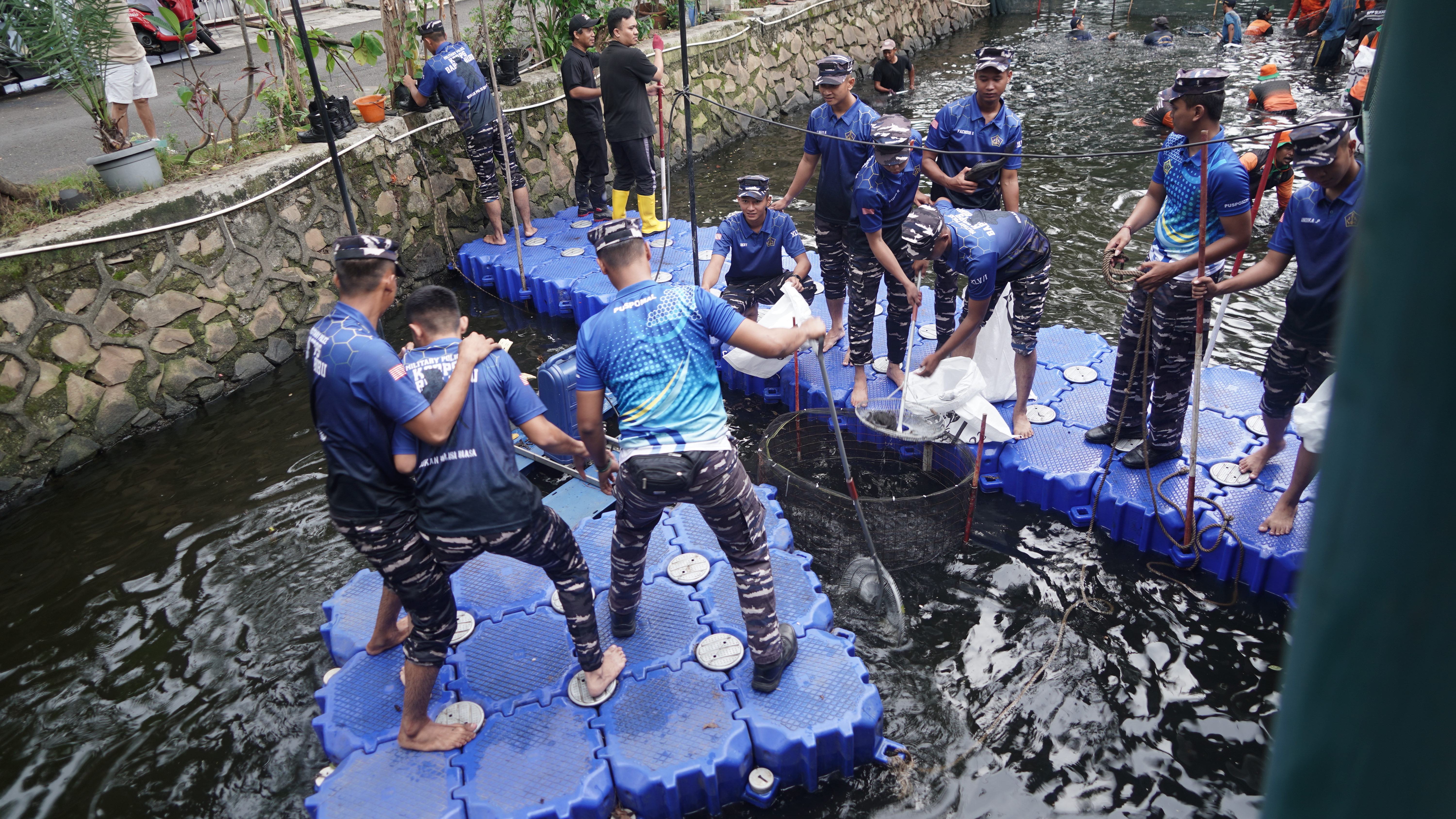 Kolaborasi KKP dan Pemprov DKI Jakarta Mengatasi Ikan Sapu - Sapu