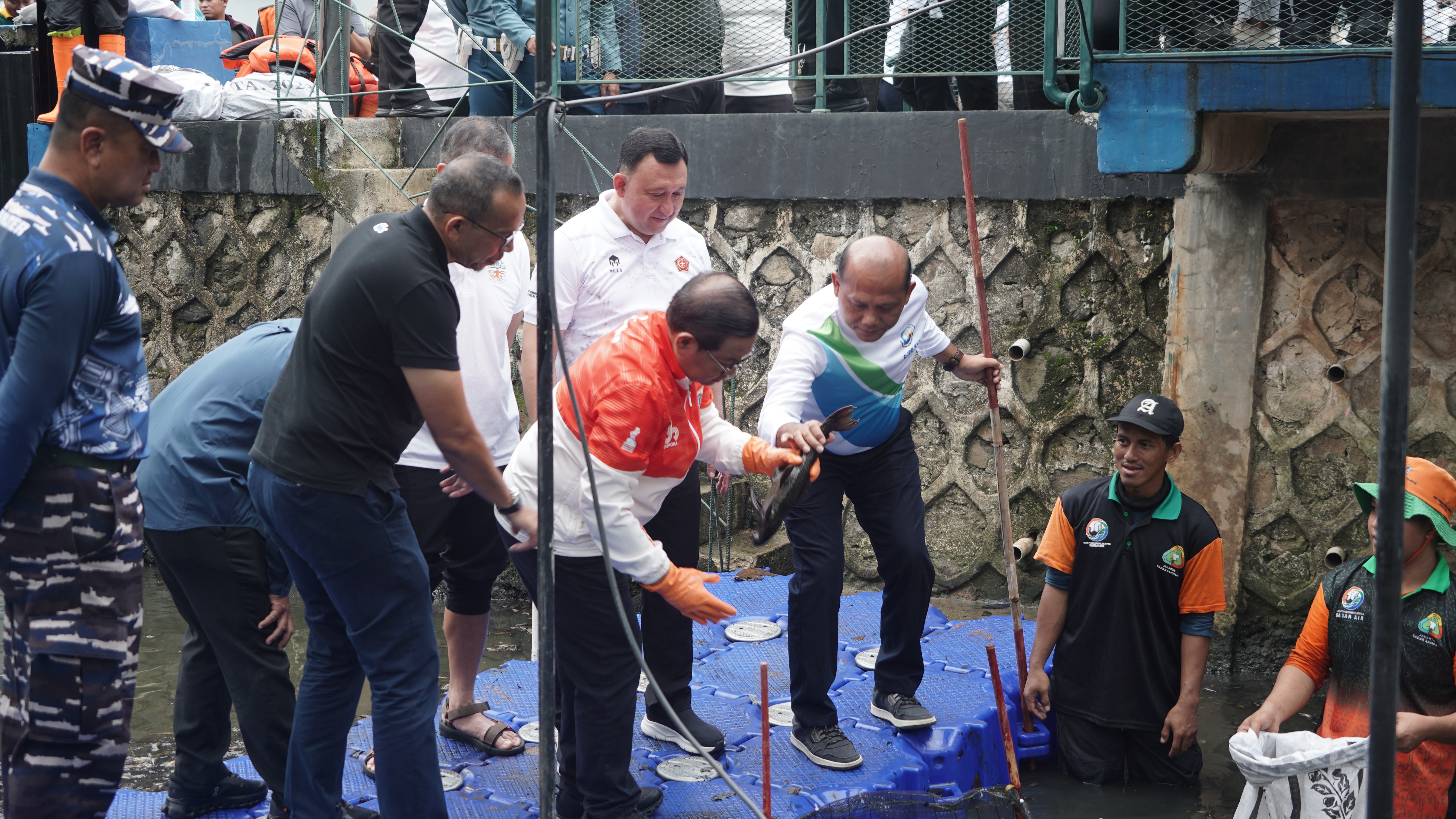 Kolaborasi KKP dan Pemprov DKI Jakarta Mengatasi Ikan Sapu - Sapu