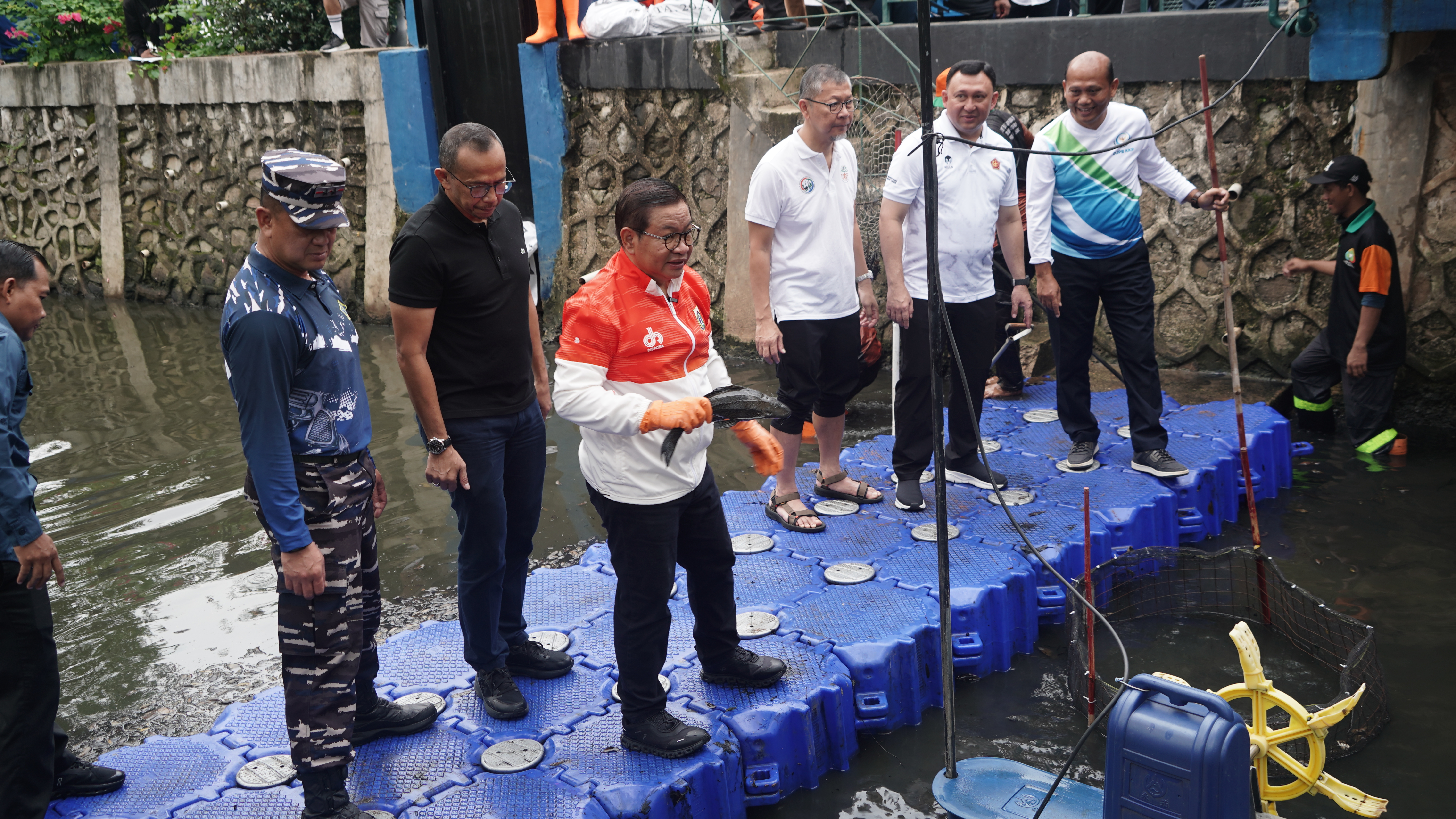 Kolaborasi KKP dan Pemprov DKI Jakarta Mengatasi Ikan Sapu - Sapu